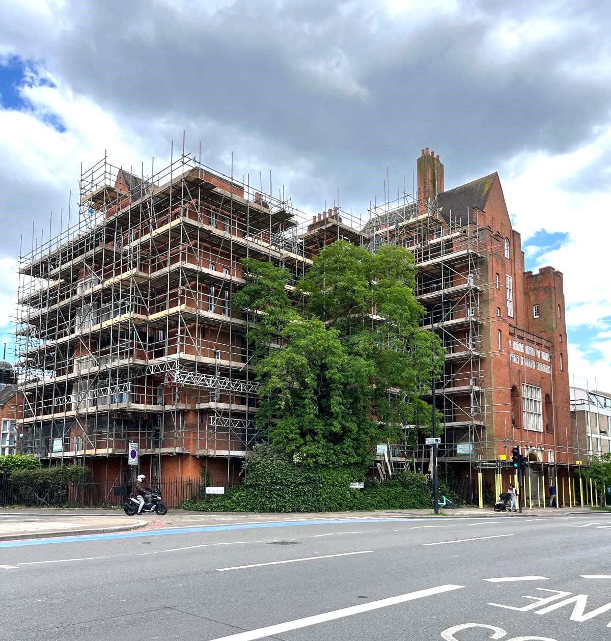 Scaffolding In Progress