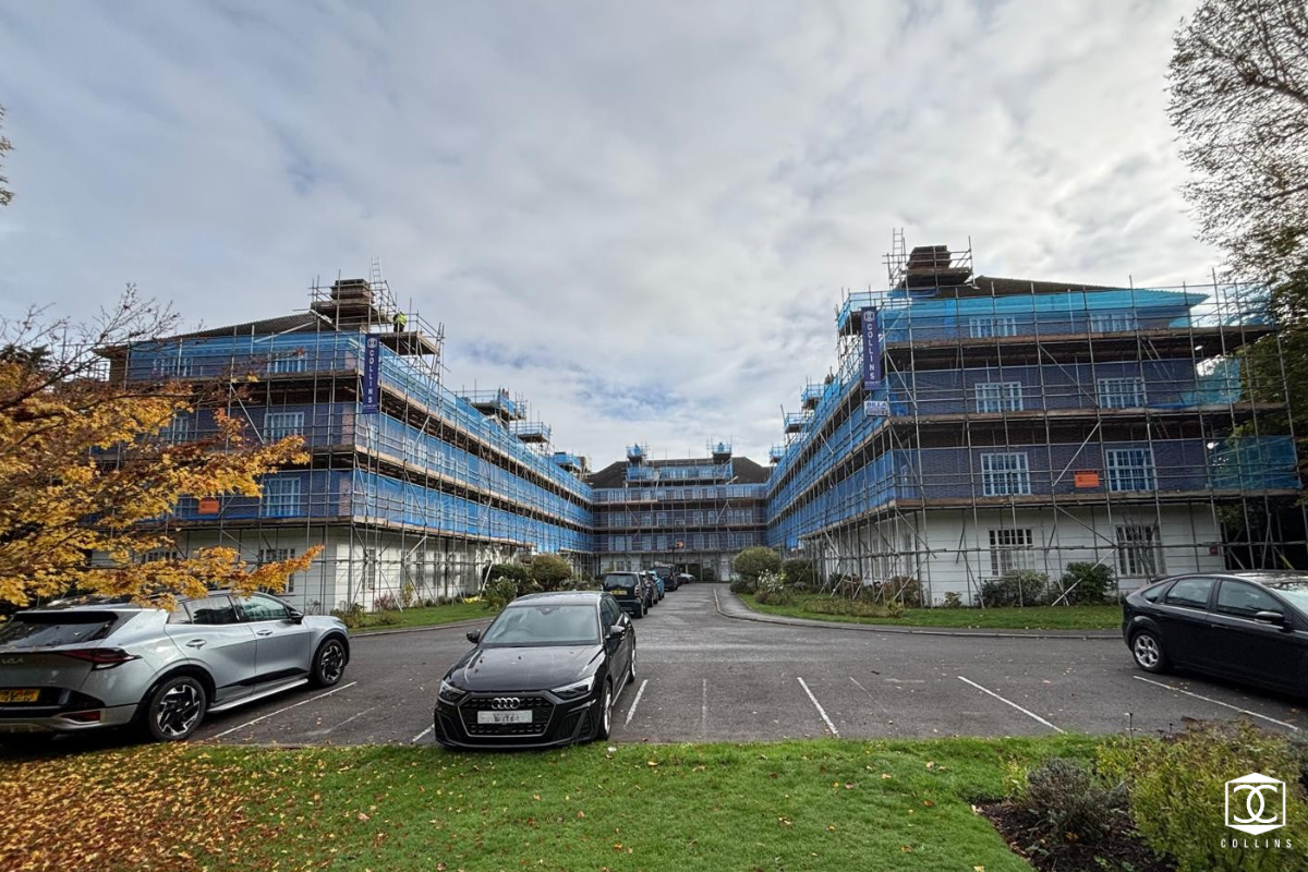 Untitled design – 2025-10-21T123348.340